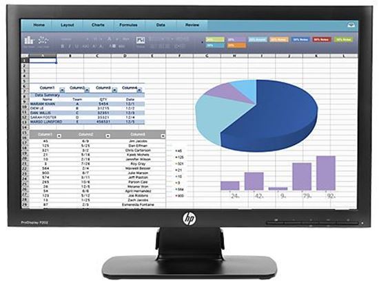 Picture of HP 20" LED Backlit Monitor P202