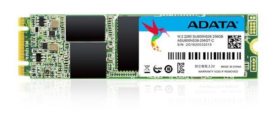 Slika SSD AD 256GB SU800 M.2 3D TLC