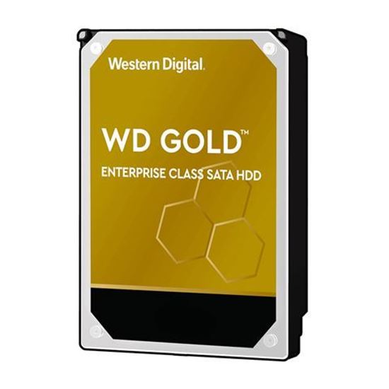 Picture of Hard Disk Western Digital Gold™ Enterprise Class 1TB