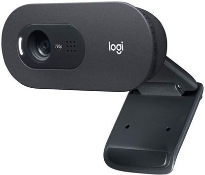 Slika WEB kamera Logitech C505 HD