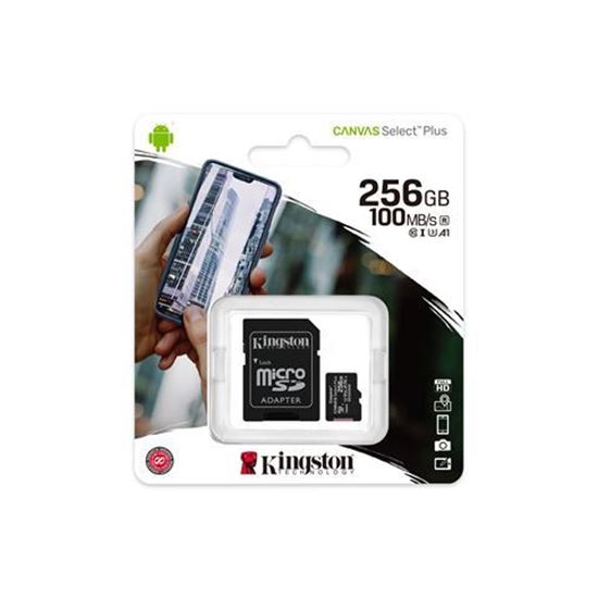 Slika MEM SD MICRO 256GB Canvas Plus + ADP