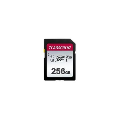 Slika MEM SD 256GB SD/XC UHS-I U3 300S TS