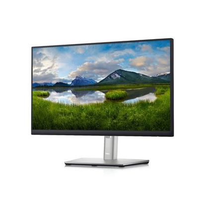 Picture of Monitor DELL P2222H, 210-BBBE