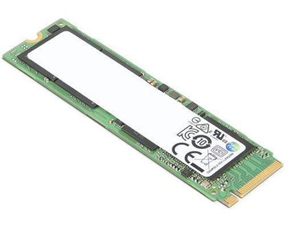Slika Lenovo SSD disk 256GB M.2 2280 NVMe bulk FMT PCIe